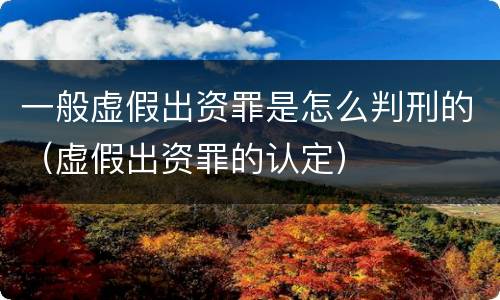 一般虚假出资罪是怎么判刑的（虚假出资罪的认定）