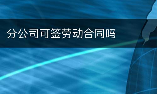分公司可签劳动合同吗
