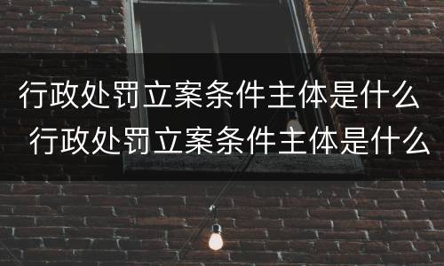 行政处罚立案条件主体是什么 行政处罚立案条件主体是什么法律