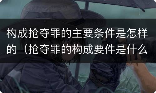 构成抢夺罪的主要条件是怎样的（抢夺罪的构成要件是什么）