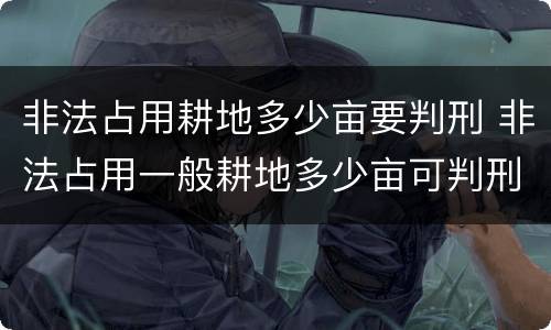 非法占用耕地多少亩要判刑 非法占用一般耕地多少亩可判刑