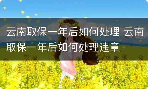 云南取保一年后如何处理 云南取保一年后如何处理违章