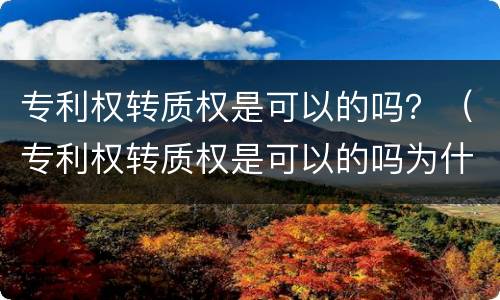 专利权转质权是可以的吗？（专利权转质权是可以的吗为什么）