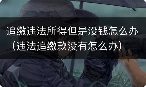 追缴违法所得但是没钱怎么办（违法追缴款没有怎么办）