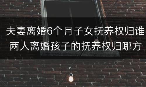 夫妻离婚6个月子女抚养权归谁 两人离婚孩子的抚养权归哪方
