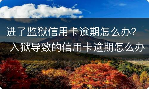 进了监狱信用卡逾期怎么办？ 入狱导致的信用卡逾期怎么办