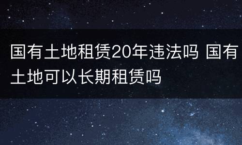国有土地租赁20年违法吗 国有土地可以长期租赁吗