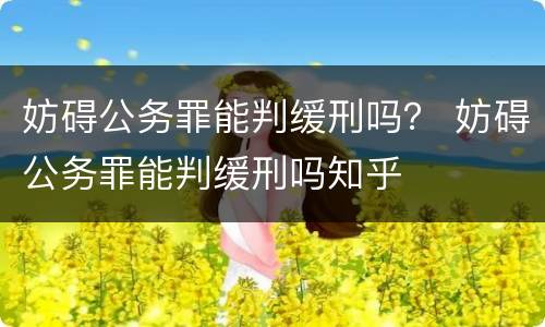 妨碍公务罪能判缓刑吗？ 妨碍公务罪能判缓刑吗知乎
