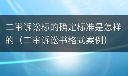 二审诉讼标的确定标准是怎样的（二审诉讼书格式案例）