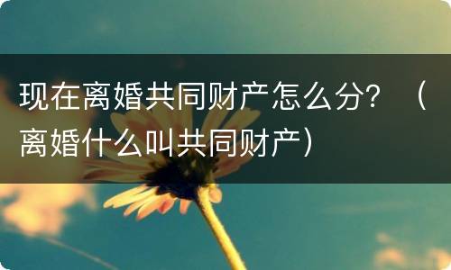 现在离婚共同财产怎么分？（离婚什么叫共同财产）