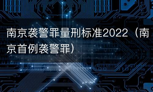 南京袭警罪量刑标准2022(南京首例袭警罪)