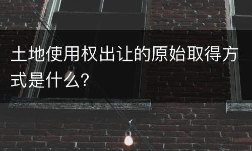 土地使用权出让的原始取得方式是什么？