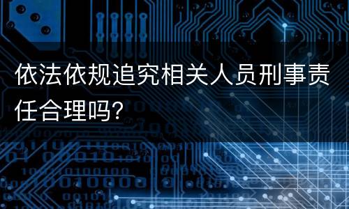 依法依规追究相关人员刑事责任合理吗？
