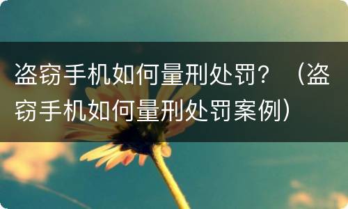 盗窃手机如何量刑处罚？（盗窃手机如何量刑处罚案例）