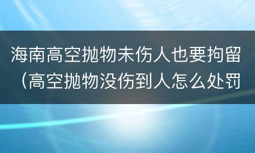 海南高空抛物未伤人也要拘留（高空抛物没伤到人怎么处罚）