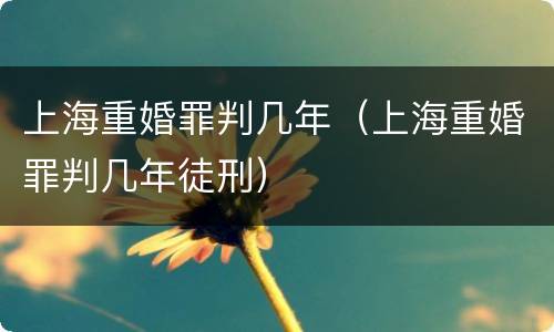 上海重婚罪判几年（上海重婚罪判几年徒刑）