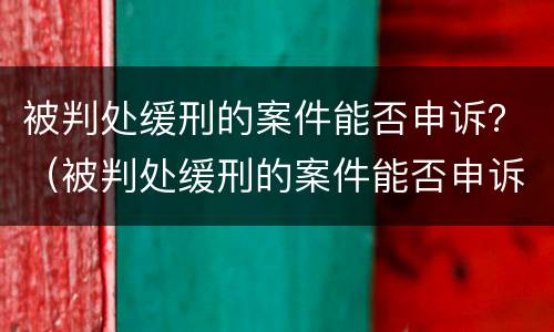 被判处缓刑的案件能否申诉？（被判处缓刑的案件能否申诉成功）