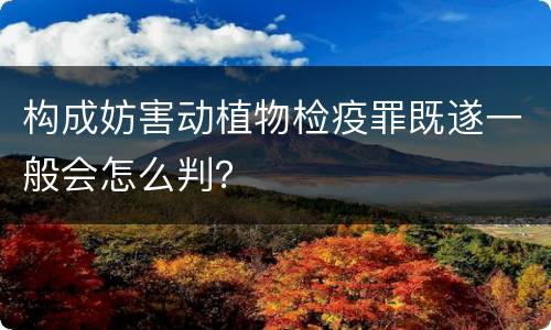 构成妨害动植物检疫罪既遂一般会怎么判？
