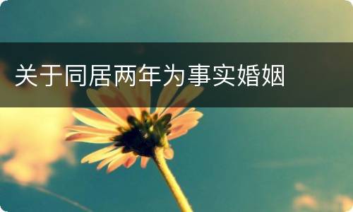 关于同居两年为事实婚姻