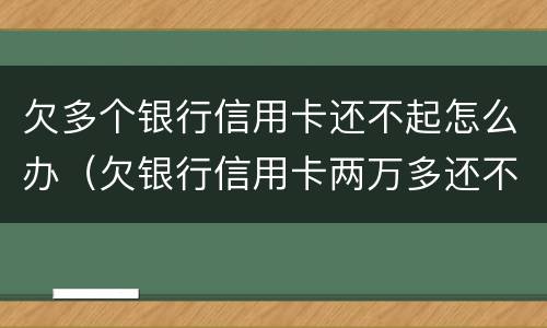 欠多个银行信用卡还不起怎么办（欠银行信用卡两万多还不起怎么办）