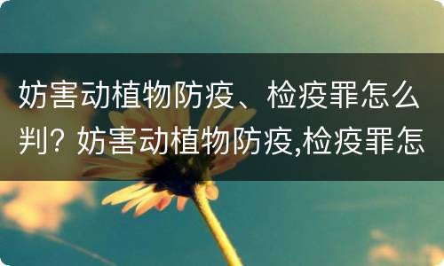 妨害动植物防疫、检疫罪怎么判? 妨害动植物防疫,检疫罪怎么判