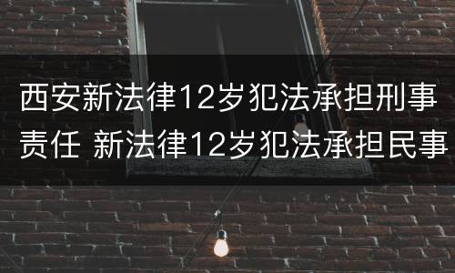 西安新法律12岁犯法承担刑事责任 新法律12岁犯法承担民事责任