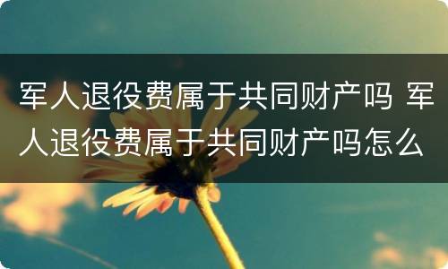 军人退役费属于共同财产吗 军人退役费属于共同财产吗怎么算