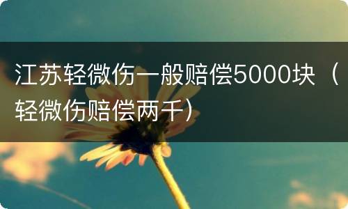 江苏轻微伤一般赔偿5000块（轻微伤赔偿两千）
