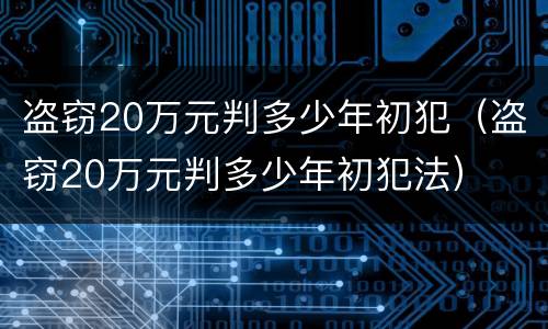 盗窃20万元判多少年初犯（盗窃20万元判多少年初犯法）