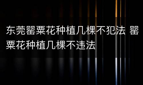 东莞罂粟花种植几棵不犯法 罂粟花种植几棵不违法