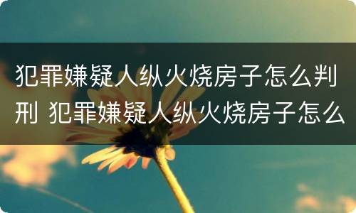 犯罪嫌疑人纵火烧房子怎么判刑 犯罪嫌疑人纵火烧房子怎么判刑的