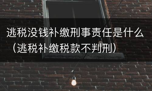 逃税没钱补缴刑事责任是什么（逃税补缴税款不判刑）