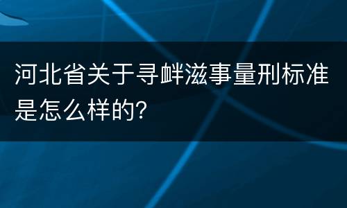 河北省关于寻衅滋事量刑标准是怎么样的？