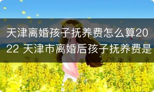 天津离婚孩子抚养费怎么算2022 天津市离婚后孩子抚养费是多少