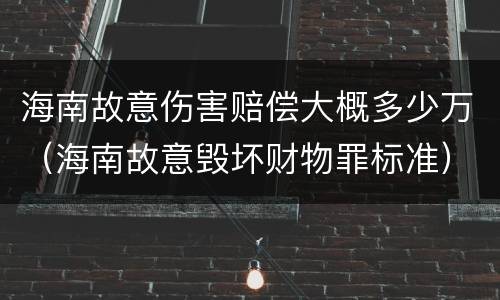 海南故意伤害赔偿大概多少万（海南故意毁坏财物罪标准）