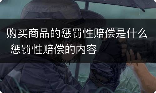 购买商品的惩罚性赔偿是什么 惩罚性赔偿的内容