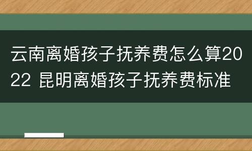 云南离婚孩子抚养费怎么算2022 昆明离婚孩子抚养费标准