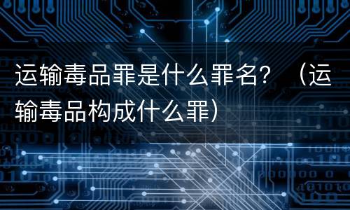 运输毒品罪是什么罪名？（运输毒品构成什么罪）