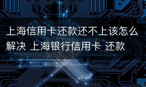 上海信用卡还款还不上该怎么解决 上海银行信用卡 还款