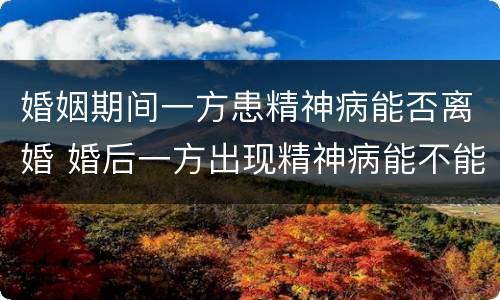 婚姻期间一方患精神病能否离婚 婚后一方出现精神病能不能离婚