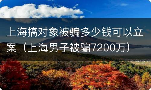 上海搞对象被骗多少钱可以立案（上海男子被骗7200万）