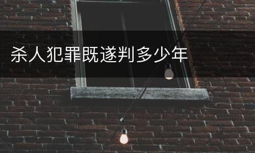 杀人犯罪既遂判多少年