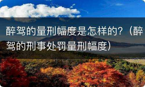 醉驾的量刑幅度是怎样的?（醉驾的刑事处罚量刑幅度）