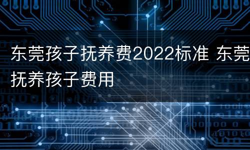 东莞孩子抚养费2022标准 东莞抚养孩子费用