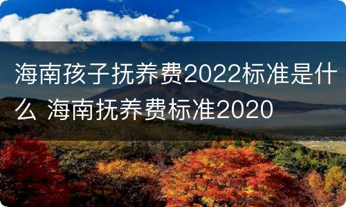 海南孩子抚养费2022标准是什么 海南抚养费标准2020