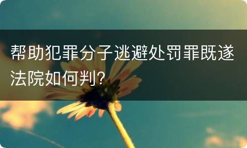 帮助犯罪分子逃避处罚罪既遂法院如何判?