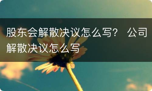 股东会解散决议怎么写？ 公司解散决议怎么写