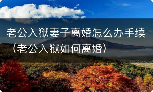 老公入狱妻子离婚怎么办手续（老公入狱如何离婚）