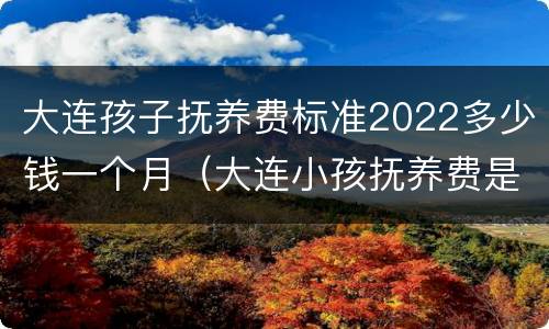 大连孩子抚养费标准2022多少钱一个月（大连小孩抚养费是多少钱一个月）
