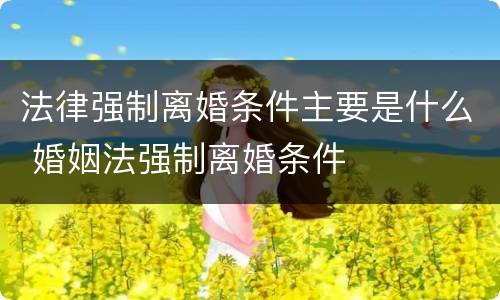 法律强制离婚条件主要是什么 婚姻法强制离婚条件